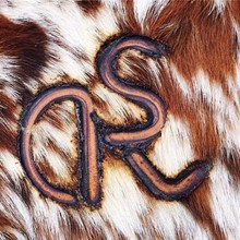 FA JUPITER X STANDING ROCK RL (UNBORN EMBYOS)